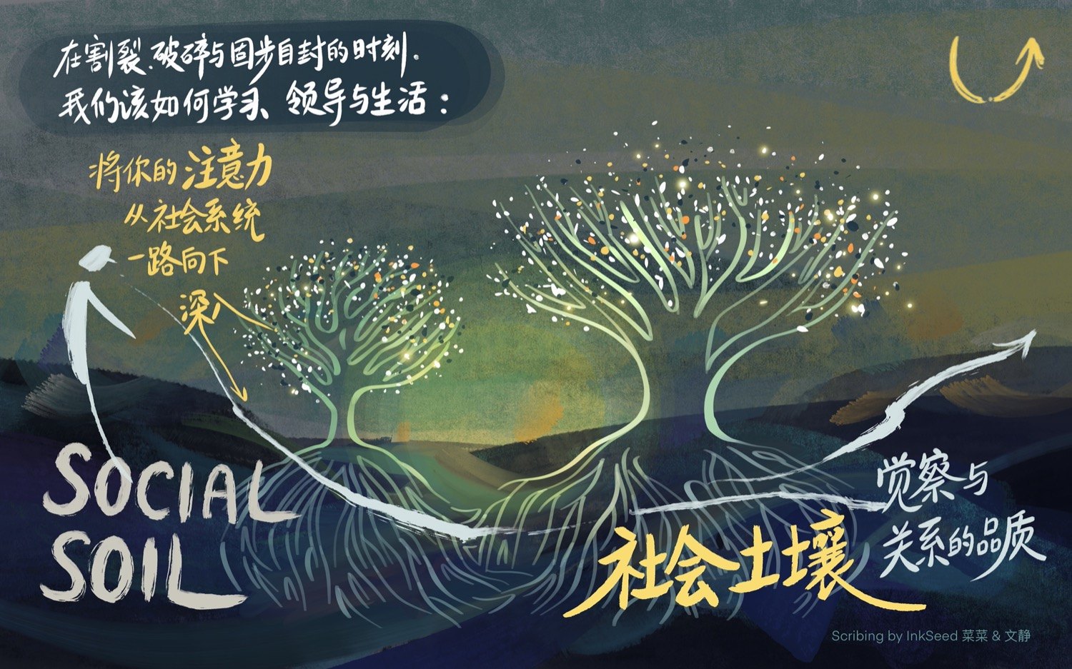 社会土壤 Social Soil 视觉叙画